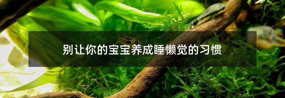 別讓你的寶寶養成睡懶覺的習慣