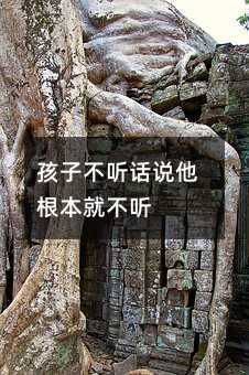 孩子不聽話說他根本就不聽