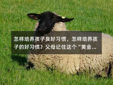怎樣培養(yǎng)孩子良好習(xí)慣,怎樣培養(yǎng)孩子的好習(xí)慣?父母記住這個(gè)“黃金法則”,可省不少力氣