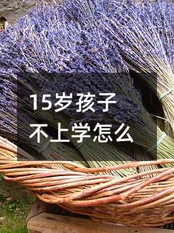 15歲孩子不上學(xué)怎么辦