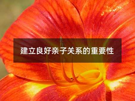 建立良好親子關系的重要性