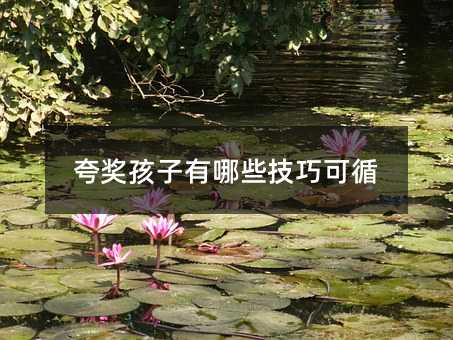 䪄Щɿѭ