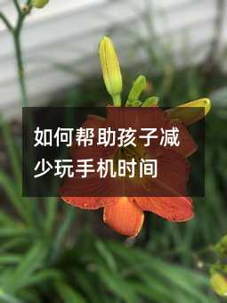 如何幫助孩子減少玩手機時間