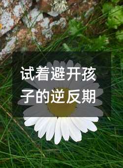 ԇ�����_���ӵ��淴��