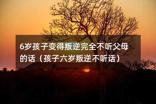 6歲孩子變得叛逆完全不聽父母的話(孩子六歲叛逆不聽話)