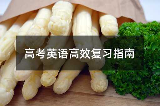 高考英語高效復習指南