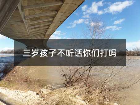 三歲孩子不聽話你們打嗎