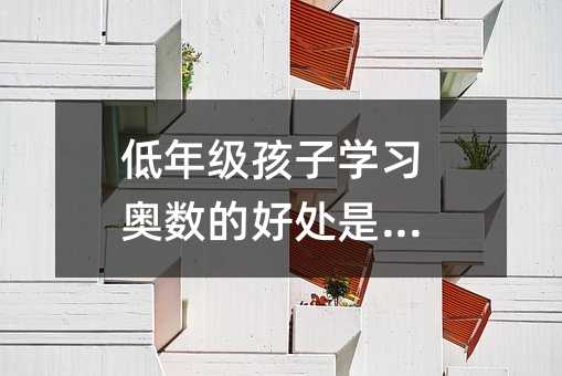 低年級孩子學習奧數的好處是什么