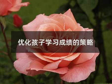 優化孩子學習成績的策略