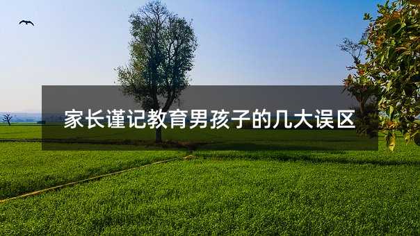 家長謹(jǐn)記教育男孩子的幾大誤區(qū)