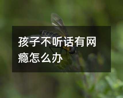 孩子不聽話有網(wǎng)癮怎么辦