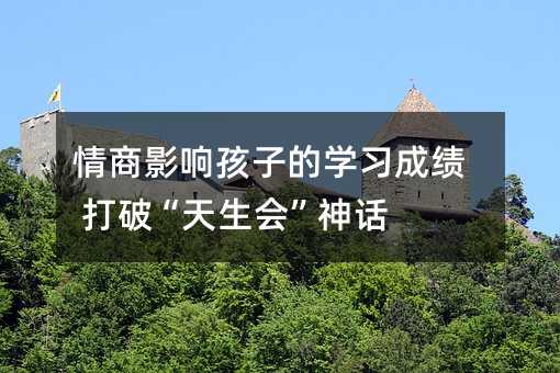 情商影響孩子的學習成績 打破“天生會”神話