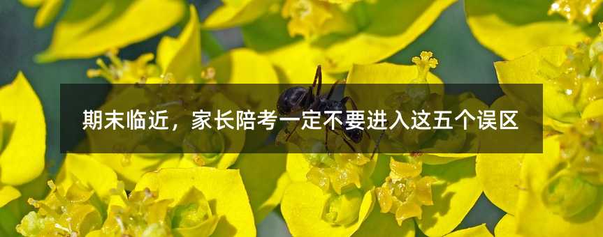 ĩRL㿼һҪM@傀`^
