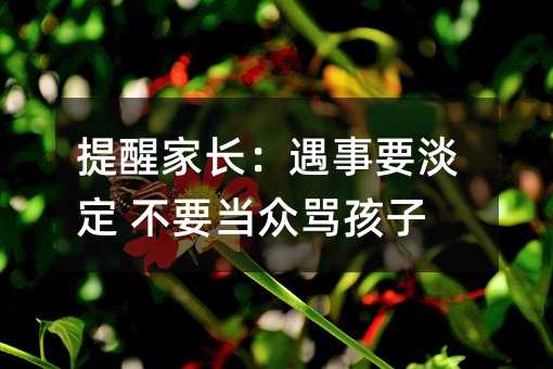 提醒家長:遇事要淡定 不要當(dāng)眾罵孩子