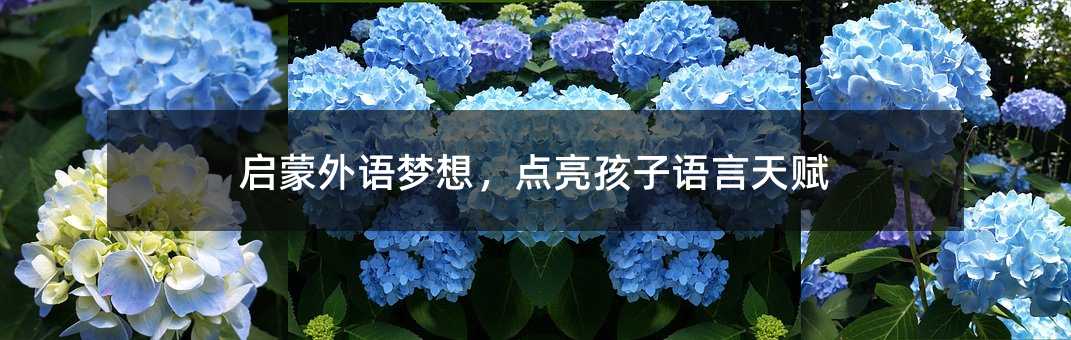 啟蒙外語夢想,點亮孩子語言天賦