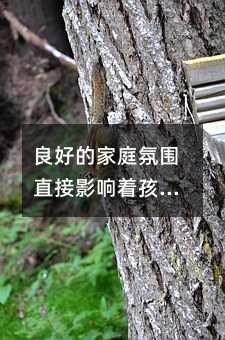 良好的家庭氛圍直接影響著孩子的心理素質(zhì)