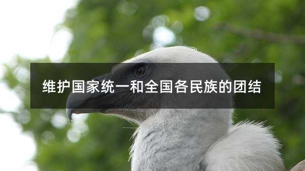 維護(hù)國(guó)家統(tǒng)一和全國(guó)各民族的團(tuán)結(jié)
