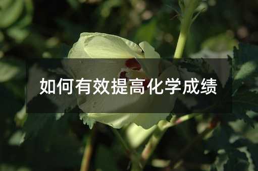 如何有效提高化學成績