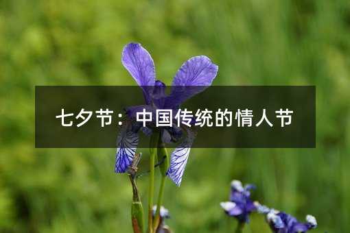 Ϧ(ji)Їy(tng)˹(ji)