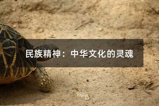 民族精神:中華文化的靈魂