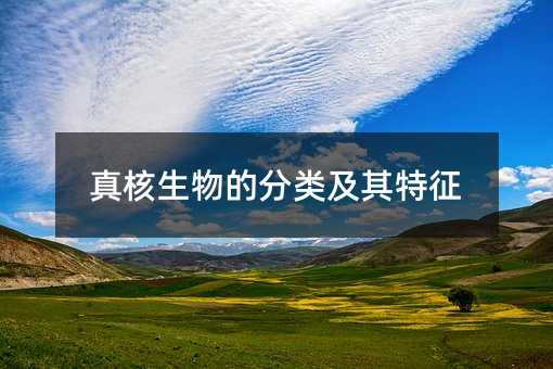 真核生物的分類及其特征