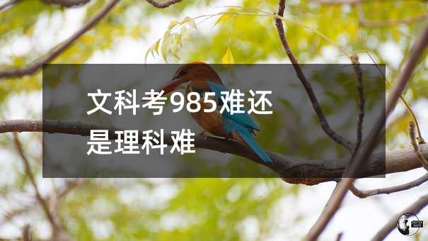Ŀƿ985y߀y
