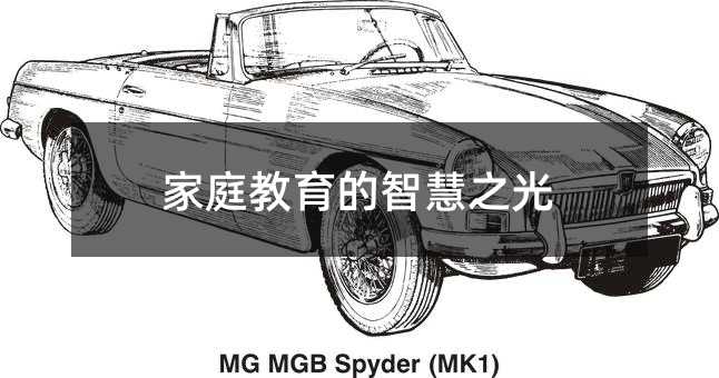 家庭教育的智慧之光