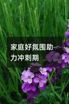 家庭好氛圍助力沖刺期