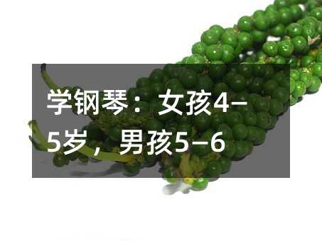 學(xué)鋼琴:女孩4—5歲,男孩5—6歲
