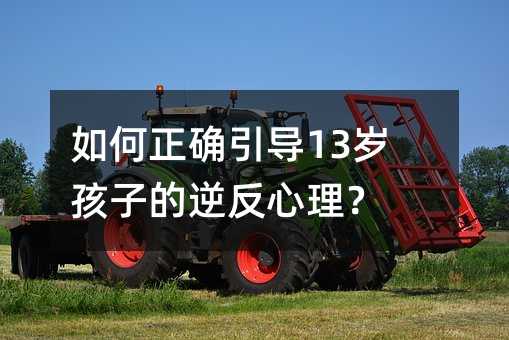 如何正確引導(dǎo)13歲孩子的逆反心理?