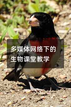 ýwWjµný̌W