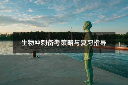 _̂俼cָ