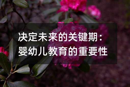 決定未來(lái)的關(guān)鍵期:嬰幼兒教育的重要性