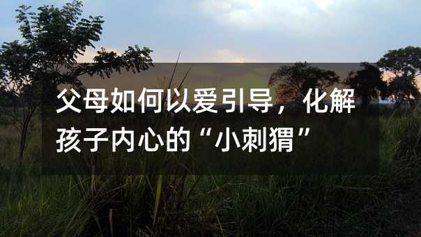 父母如何以愛引導(dǎo),化解孩子內(nèi)心的“小刺猬”