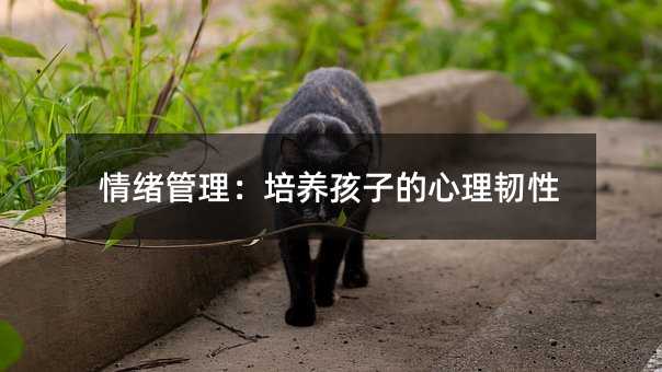 情緒管理:培養(yǎng)孩子的心理韌性