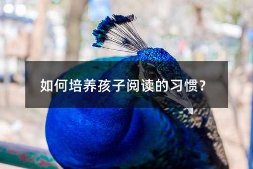 如何培養孩子閱讀的習慣?