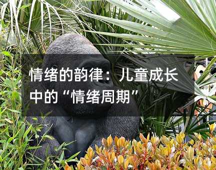 情緒的韻律:兒童成長中的“情緒周期”