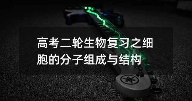 ߿݆֮ķӽMcY