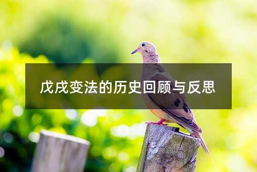 戊戌變法的歷史回顧與反思