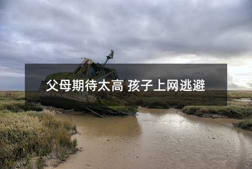 父母期待太高 孩子上網逃避