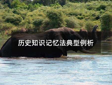歷史知識記憶法典型例析