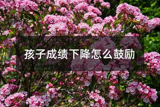 ӳɿ½ôĄ