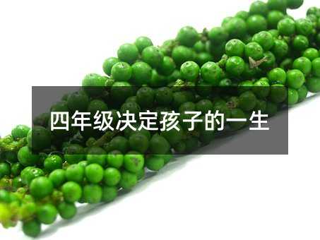 꼉Qӵһ