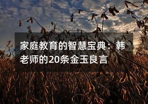 家庭教育的智慧寶典:韓老師的20條金玉良言