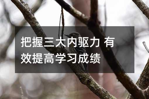 把握三大內驅力 有效提高學習成績