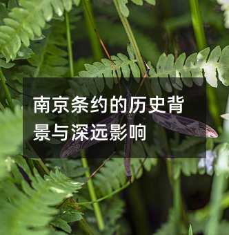 南京條約的歷史背景與深遠影響