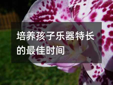 培養(yǎng)孩子樂器特長(zhǎng)的最佳時(shí)間