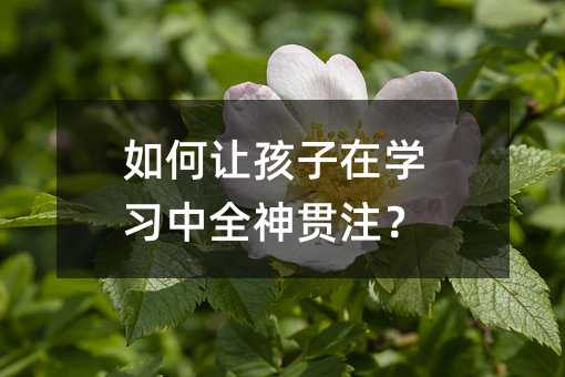 如何讓孩子在學習中全神貫注?