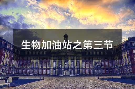 生物加油站之第三節(jié)