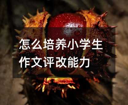 怎么培養小學生作文評改能力